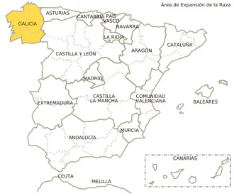 Jamón gran reserva con vetas elegantes