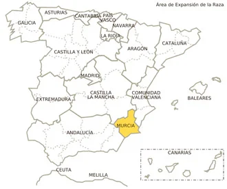 Jamón gran reserva con vetas elegantes