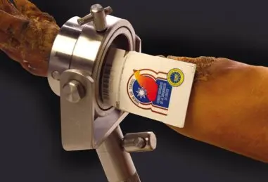 Jamón ibérico colgado en bodega artesanal