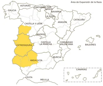 Jamón gran reserva con vetas elegantes