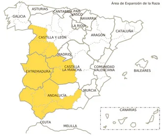 Jamón gran reserva con vetas elegantes