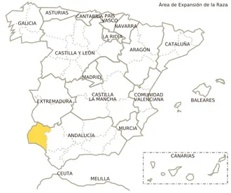 Jamón gran reserva con vetas elegantes