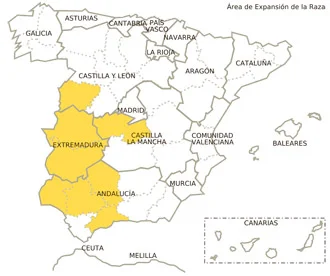 Jamón gran reserva con vetas elegantes