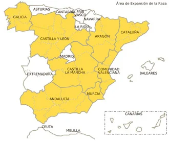 Jamón gran reserva con vetas elegantes