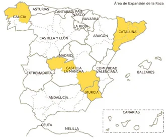 Jamón gran reserva con vetas elegantes